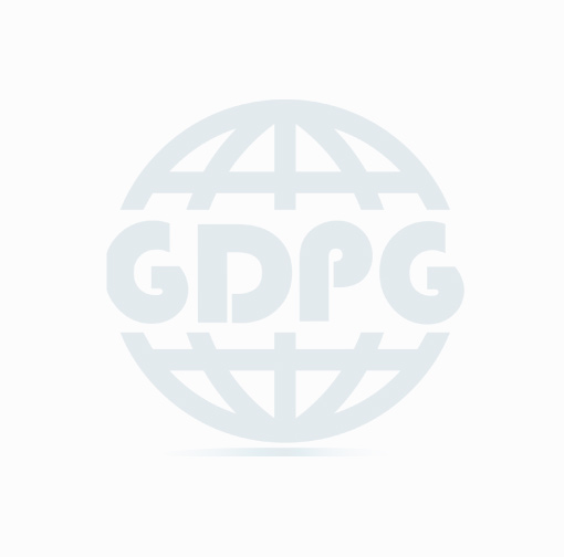 GDPG科研 Global Digital Platform Governance
